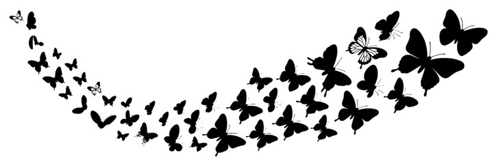 Fototapeta premium Butterflies flying swirl silhouette set with black fluttering insects forming curved trail, decorative nature vector for spring design, tattoo, logo, and greeting cards