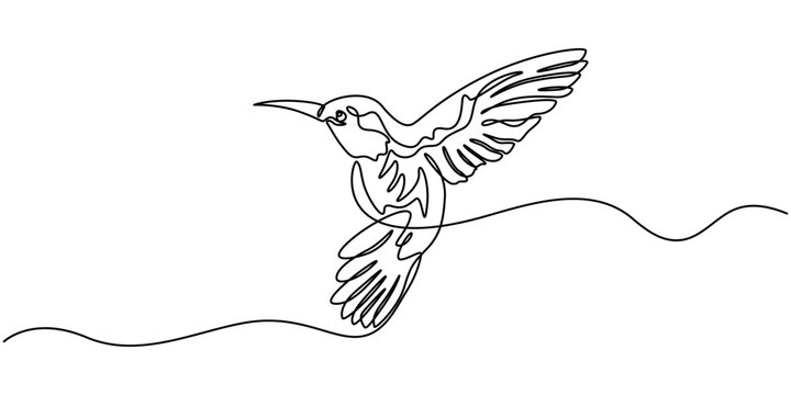 Continuous one line drawing of a hummingbird, Logo concept, Minimal Tatto design, Isolated on a white background, Continuous one line drawing of collibri. Humming bird. Abstract flying bird outline