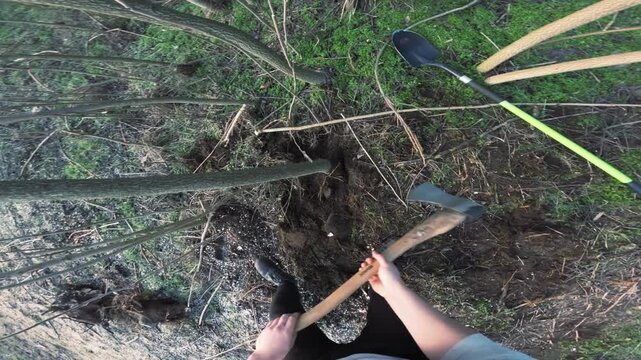 POV chopping and loosening tree roots with axe