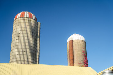 Tall concrete farm silos rising above barn roof under clear blue sky, representing agriculture, storage, and rural industry. © Bryan S