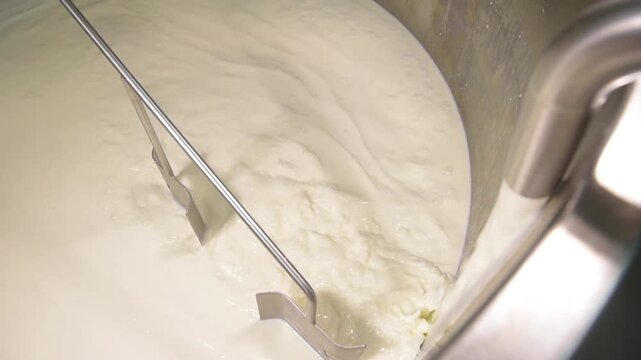 Artisanal Cheese Making: Heating and Stirring Fresh Milk in Production Tank
