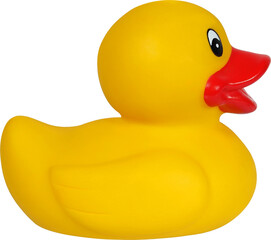 Yellow rubber duck isolated on white background