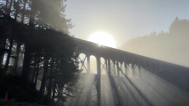 Cape Creek Bridge in sun and fog on the Oregon coast near Florence.