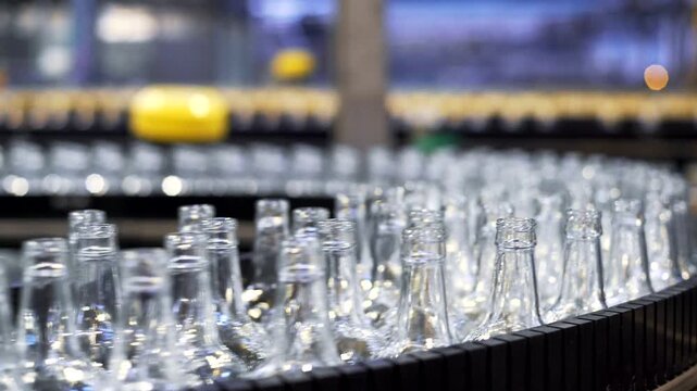 Beer Bottle Production Line in Industrial Bottling Factory