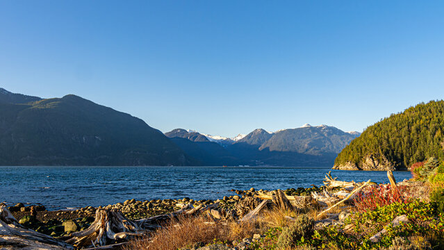 Oliver Landing : A calm riverside townhouse community enclave in Squamish