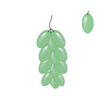 Grape illustratrion (angur)