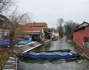 K&auml;hne im zugefrorenen Flie&szlig; - Spreewald L&uuml;bbenau 