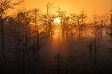 sunrise over the everglades national park