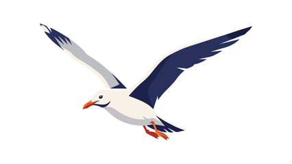 Obraz premium Flying Seagull Bird in Flight with Spread Wings Vector Illustration, Minimalist Flat Design Animal Graphic
