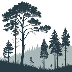 Obraz premium A serene landscape with tall trees and a misty valley in the background