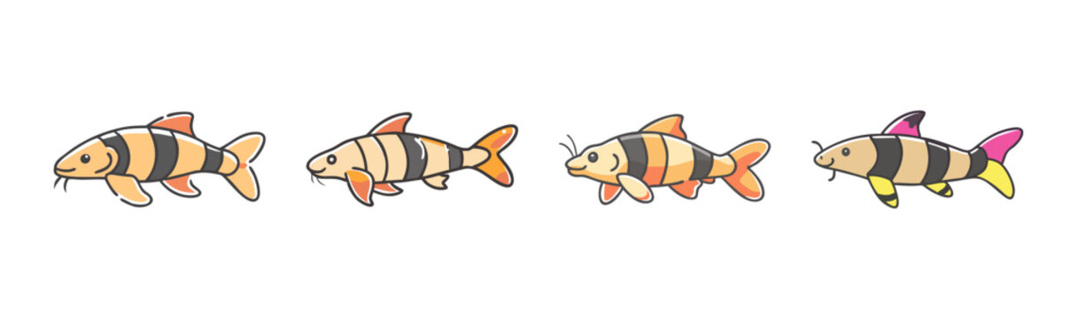 Four colorful clown loach fish swimming in different directions, vector illustration.