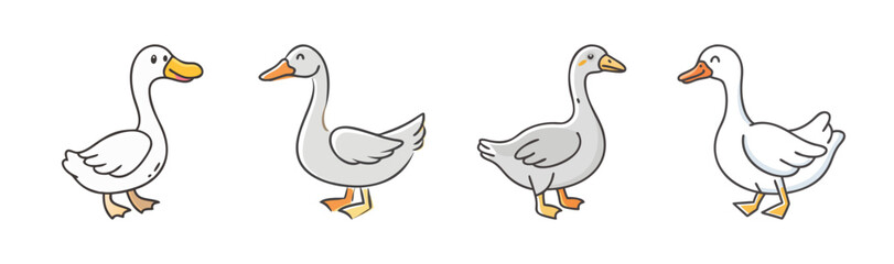 Four cute cartoon geese and ducks standing, vector illustration. © SulaimanIslam