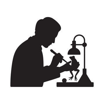 Scientist examining frog under lamp silhouette laboratory