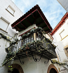 Beautiful antique balcony with flowering plants on the railing