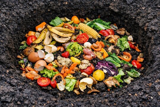 A pile of food in a pit with a variety of vegetables, including lettuce, tomatoes and carrots. A manure pit in a natural environment
