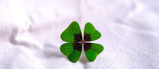 Gl&uuml;cksklee Gl&uuml;cksbringer mit Platz f&uuml;r Text zum Beschreiben