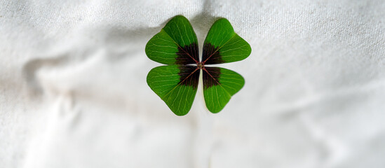 Gl&uuml;cksklee Gl&uuml;cksbringer mit Platz f&uuml;r Text zum Beschreiben