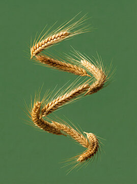 Espiral de trigo em fundo verde