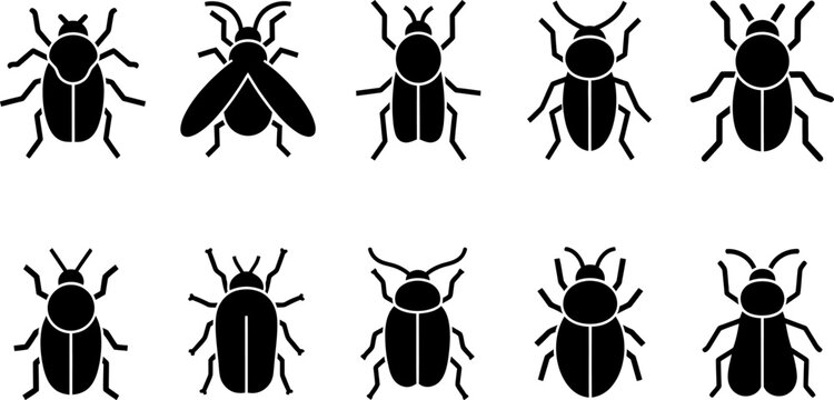 Silhouette of various beetle species in black on white background