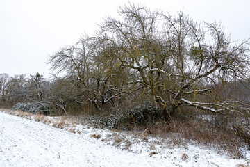 Horrheim Seewaldseen