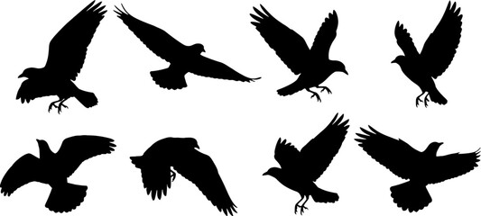 Obraz premium Collection of flying bird silhouettes in various poses and angles showcasing dynamic movements and shapes silhouette