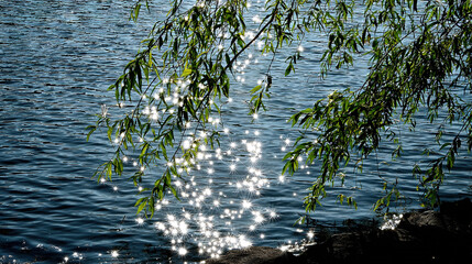 Light Reflections on Water with Green Branches