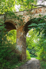 Fototapeta premium Old brick arch bridge surrounded by dense greenery, symbolizing forgotten architecture, natural overgrowth, and peaceful forest scenery.