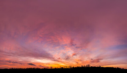Fototapeta premium Clouds burn in a fiery sunset. Hot streams of multi-level meteorological layers. Cumulus and cirrus clouds form a grand epic picture play colors. Orange pink violet gradient with edge forest line