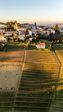 Aerial view of vineyards at sunrise in Alice Bel Colle