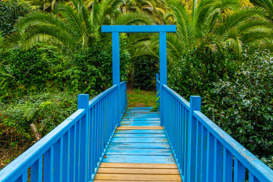 Vibrant blue wooden footbridge in lush paradise
