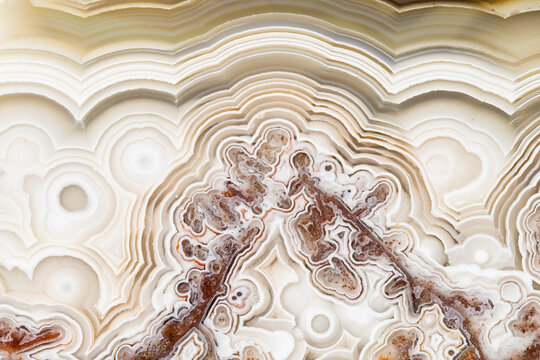 Laguna Lace Agate Complexity