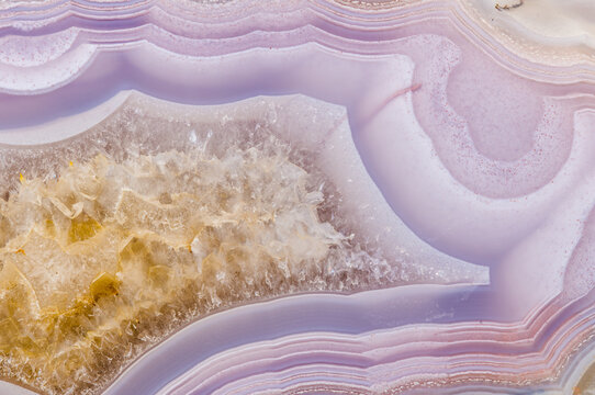 Coyamito Agate, closeup