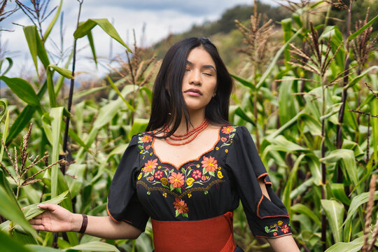 Puruwa woman in traditional attire amidst cornfields