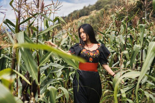 Indigenous woman in traditional attire in cornfield
