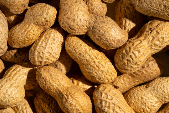 Close up of whole peanuts in shell