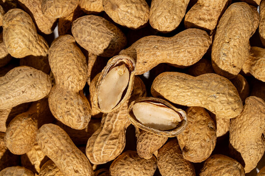 Close up of whole peanuts in shell