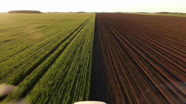 A divided farmland scene showcasing a vibrant green crop juxtaposed with freshly plowed brown earth
