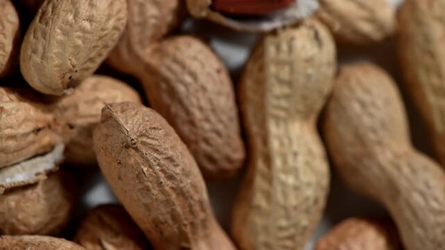A single peanut pod in its shell is captured in a sharp, dynamic spin against a dark, moody background. The motion is fast, creating a slight blur that emphasizes energy and movement, while focusing o