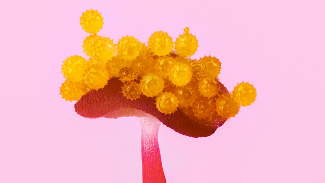 Extreme macro image of Hibiscus rosa-sinensis pollen