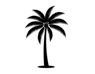 Obraz premium Silhouette of a palm tree with fronds spreading outward, isolated on a white background