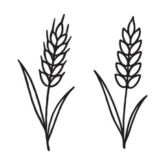 Two Wheat Stalks Icon Representing Grain, Harvest, and Agriculture