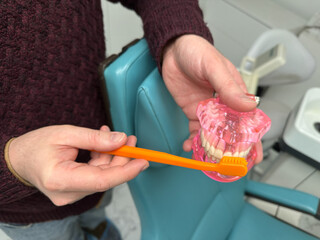 A person demonstrating proper toothbrushing technique using an orange toothbrush and a pink dental model of human teeth.  Ideal for use in oral hygiene education, dental care promotion. © Oksana