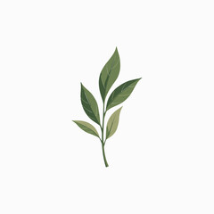 Obraz premium Minimalist Illustration of a Leafy Green Plant Stem Featuring Delicate Leaves on a Simple White Background with Natural Tones and Subtle Details