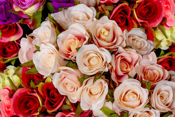 beautiful flower decoration for flora background.