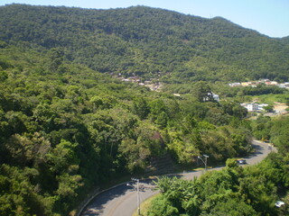 Lush tropical vegetation and green trees in the mountains of Santa Catarina, Brazil.