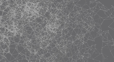 Tangled Network of Fine Filaments A Microscopic View.