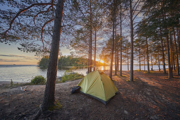 Tourist tent in a pine forest on the shore of a lake at sunset © ILIA