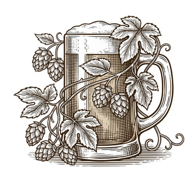 Retro beer illustration featuring a glass mug and hop plants, detailed line art inspired by old brewing engravings.