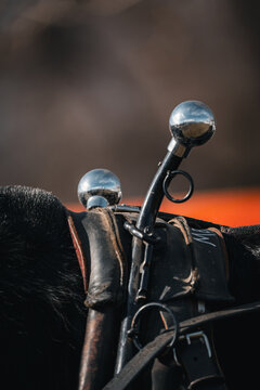 hame Knob on a horse driving harness on dark draft horse