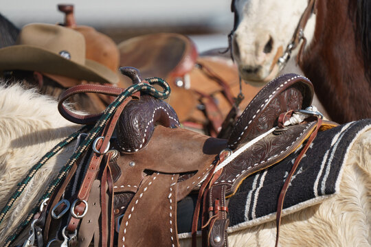 close up of leather western saddle with horse bridle handing over saddle horn
